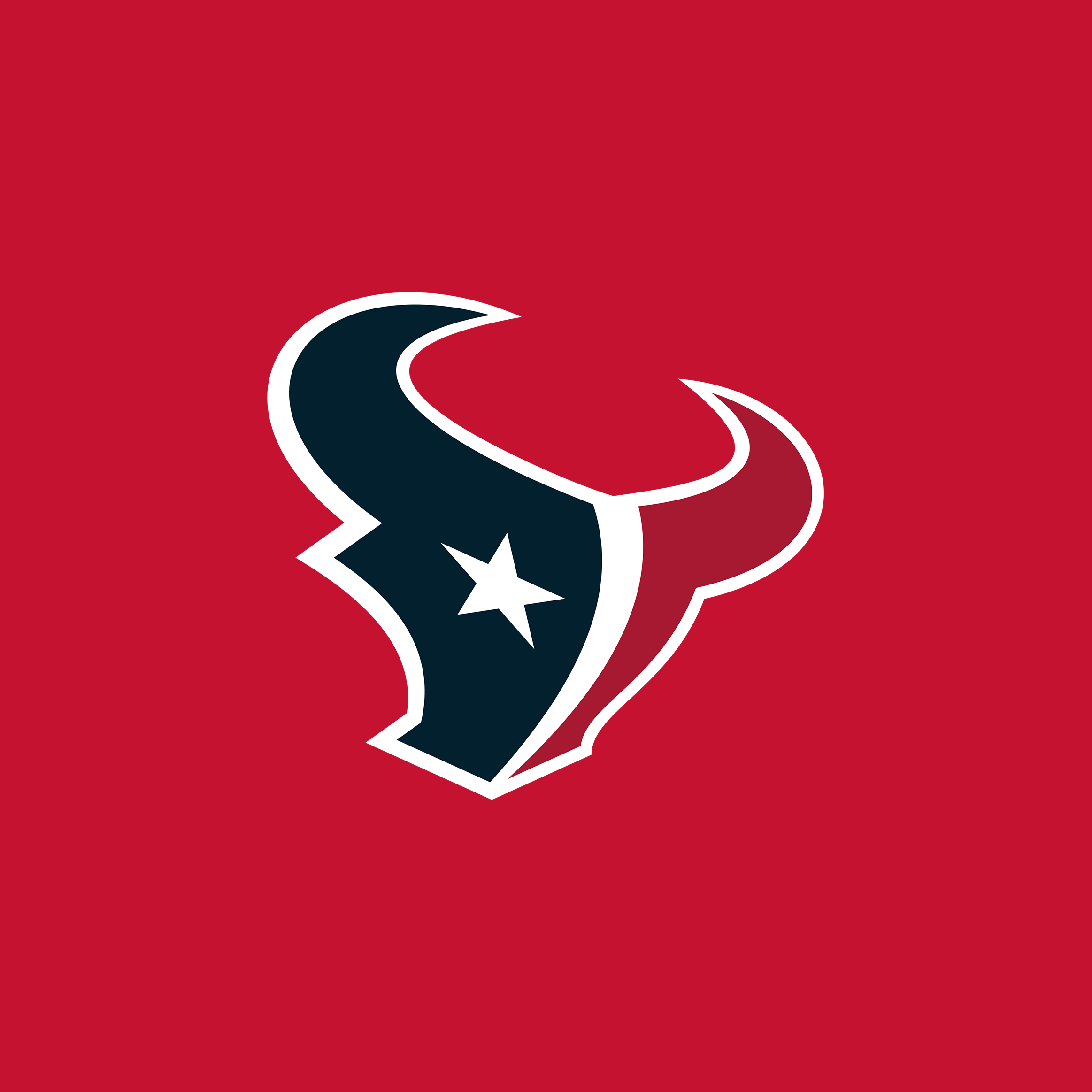 Houston Texans logo